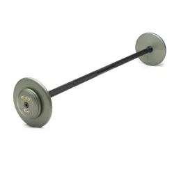 Pro-Style Economy Gray Cast Iron Fixed Barbell Set - 20-110 Lbs. – Ivanko (SBH/R/EP1.25)