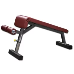 Dumbbell / Barbell Decline Utility Bench -- Legend Fitness (3102)