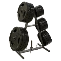 A-Frame Weight Plate Tree -- Legend Fitness (3126) -Detecto Sales 3126loaded.1