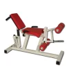 Plate Loaded Leg Extension / Leg Curl Combo -- Legend Fitness (3135)