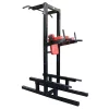Dip/Chin/Ab/Push-Up Station -- Legend Fitness (3153)