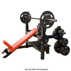 Incline Olympic Bench Press W/Plate Storage -- Legend Fitness (3154)