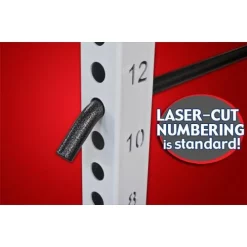 Fat Bar Power Station -- Legend Fitness (3171) -Detecto Sales 31713