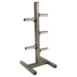 Heavy-Duty Olympic Peg Plate Holder -- Legend Fitness (3193)