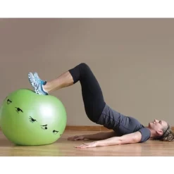 Self-Guided SMART Stability Balls -- Prism Fitness Group (400-150-SB) -Detecto Sales 400150011 2