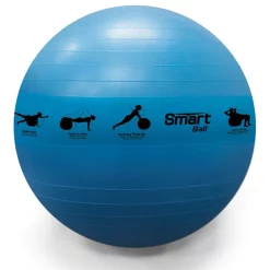Self-Guided SMART Stability Balls -- Prism Fitness Group (400-150-SB) -Detecto Sales 400150012 xlg