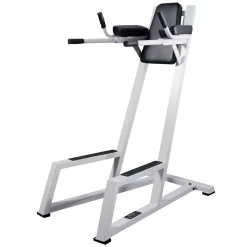 ST Vertical Knee Raise With Dip Handles -- York (54032-55032)