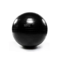 Resist-A-Ball Stability Balls -- Mad Dogg (RAB723) -Detecto Sales 55cmrabprostabilityball