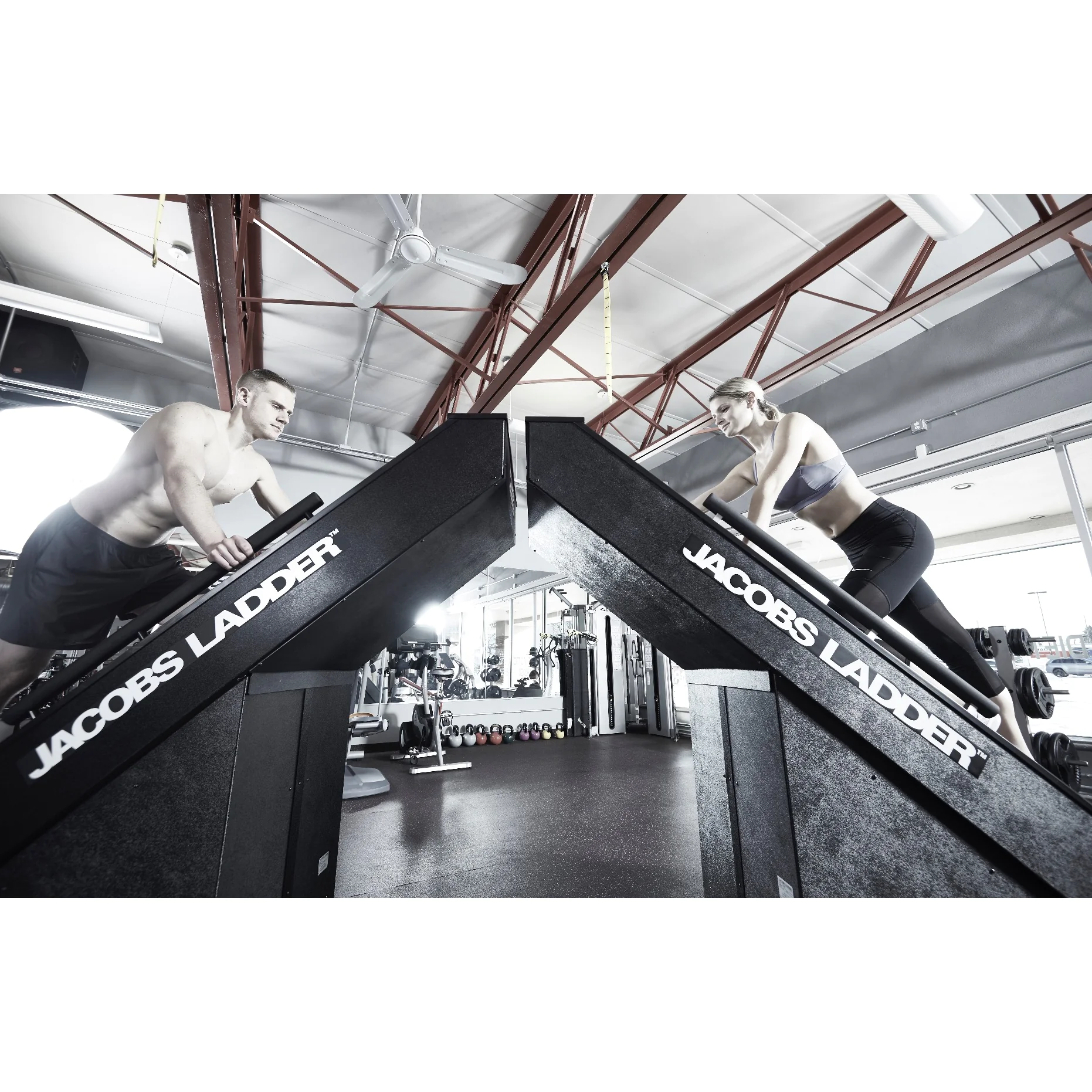 Jacobs Ladder Cardio Exercise Trainer - JACOBS LADDER (JACOBS-LADDER) 6 Jacobs Ladder Cardio Exercise Trainer - JACOBS LADDER (JACOBS-LADDER) - Image 6