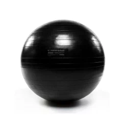 Resist-A-Ball Stability Balls -- Mad Dogg (RAB723) -Detecto Sales 65cmrabprostabilityball