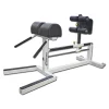 Original Michael Yessis Glute / Ham / Low Back Bench -- Legend Fitness (7006)
