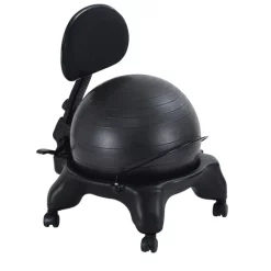 Adjustable Fit Ball Chair -- Aeromat (75002)