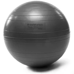 Resist-A-Ball Stability Balls -- Mad Dogg (RAB723)