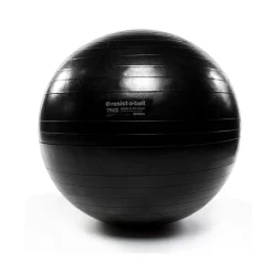 Resist-A-Ball Stability Balls -- Mad Dogg (RAB723) -Detecto Sales 75cmrabprostabilityball