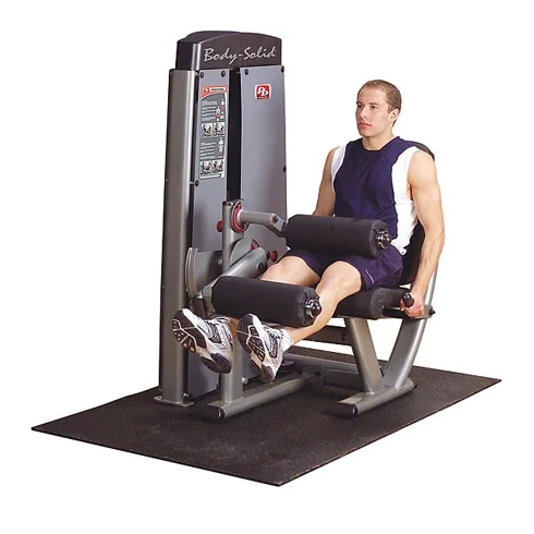 Pro Dual Leg Extension & Curl Machine -- Body-Solid (DLECSF) 1 Pro Dual Leg Extension & Curl Machine -- Body-Solid (DLECSF)