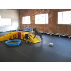 1/4" Black Rubber Roll Gym Flooring 4' Wide X 6.4mm Thick – Iron Company (ROLL-BLACK-1/4) 7 1/4" Black Rubber Roll Gym Flooring 4' Wide X 6.4mm Thick – Iron Company (ROLL-BLACK-1/4) -Detecto Sales DoggyDayCareRubberRolls