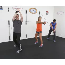 Anchor Gym Wall Mounted Functional Training System – Core Energy Fitness (ANCHOR-GYM) -Detecto Sales HH 4.1