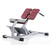 Proformance Plus Hyper Extension Back Station -- Tuff Stuff (PPF-717)