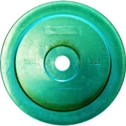 Technique Training Plates - 5 Lb (Pair) -- Ironcompany (WTP-05)