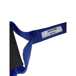 Anchor Gym Resistance And Bodyweight Strap – Core Energy Fitness (AGBWS) -Detecto Sales anchor gym agbws strap handle