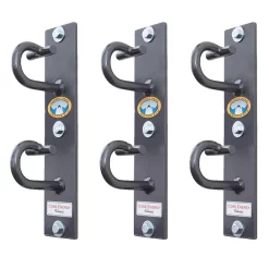 Anchor Gym Wall Mounted Functional Training System – Core Energy Fitness (ANCHOR-GYM)