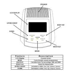 Best Fitness Elliptical Cross Trainer – Body-Solid (BFCT1)