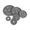 Old School Gray Cast Iron Standard Barbell Olympic Plates – CAP Barbell (OPG#2)