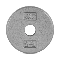Regular Gray Cast Iron Weight Plates – CAP Barbell (RPG#2) -Detecto Sales cap barbell rpg 002.5