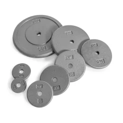 Regular Gray Cast Iron Weight Plates – CAP Barbell (RPG#2)