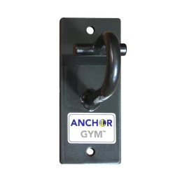 Anchor Gym Wall Mounted Functional Training System – Core Energy Fitness (ANCHOR-GYM) -Detecto Sales coreenergyfitnessh1anchorgym