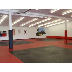 DojoTILES Interlocking Foam Martial Arts Dojo Tiles – Iron Company (DOJO-TILES) -Detecto Sales dojotiles installation 2