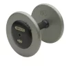 Economy Pro-Style Dumbbells With Gray Non-Machined Plates And Black End Caps – Ivanko (R/EP 1.25B)