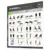 Fighthrough Fitness 18" X 24" Laminated Workout Poster - Dumbbell Training Exercises – Productive Fitness (FTD)