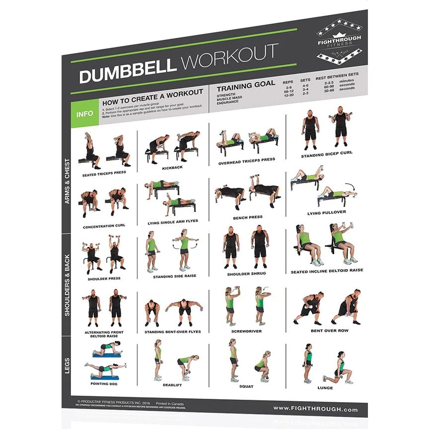 Fighthrough Fitness 18" X 24" Laminated Workout Poster - Dumbbell Training Exercises – Productive Fitness (FTD) 1 Fighthrough Fitness 18" X 24" Laminated Workout Poster - Dumbbell Training Exercises – Productive Fitness (FTD)