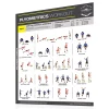 Fighthrough Fitness 18" X 24" Laminated Workout Poster - Plyometrics High Intensity Training Exercises – Productive Fitness (FTP)