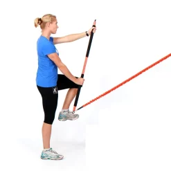 Fit Stik Pro -- Stroops (FSPALB) 14 Fit Stik Pro -- Stroops (FSPALB) -Detecto Sales fitstikproseries7.9