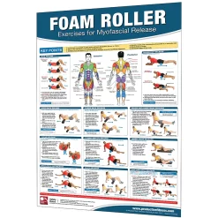 24" X 36" Laminated Fitness Poster / Wall Chart - Foam Roller Exercises For Myofascial Release / Trigger Points – Productive Fitness (CMR-CTP)