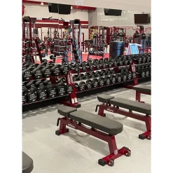 Urethane Solid Steel Dumbbells | IRON COMPANY (IC-UDB) -Detecto Sales img 3369 min