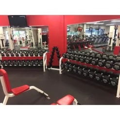 Urethane Solid Steel Dumbbells | IRON COMPANY (IC-UDB) -Detecto Sales img 4280 min