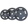 Intek Champion Series Rubber Olympic Weight Plates -- Intek (RRO)