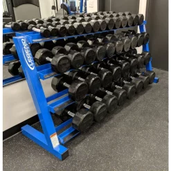 Four-Tier Hex Head Dumbbell Rack -- Legend Fitness (3239) -Detecto Sales legend 3239 dumbbell rack loaded