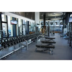 PAVIGYM Endurance S&S Extra Thick Weight Room Flooring Tiles – SurfaceCo (ENDURANCE-S&S)