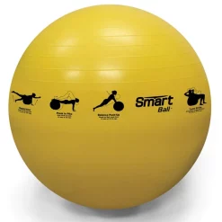 Self-Guided SMART Commercial Fitness Package - Economy -- Prism Fitness Group (400-150-133) -Detecto Sales prismsmartstabilityball55cm.1