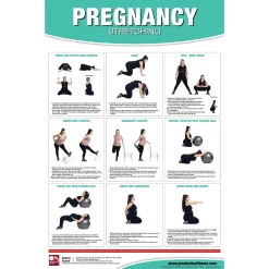 24" X 36" Laminated Fitness Poster / Wall Chart - Pregnancy Exercises And Stretching – Productive Fitness (CPES-SET) -Detecto Sales productive pregancy stretches poster
