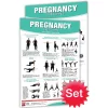 24" X 36" Laminated Fitness Poster / Wall Chart - Pregnancy Exercises And Stretching – Productive Fitness (CPES-SET)