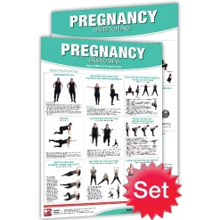 24" X 36" Laminated Fitness Poster / Wall Chart - Pregnancy Exercises And Stretching – Productive Fitness (CPES-SET)