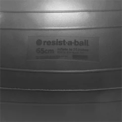 Resist-A-Ball Stability Balls -- Mad Dogg (RAB723) -Detecto Sales rabantiburstball