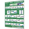 24" X 36" Laminated Fitness Poster / Wall Chart - Body Ball Exercises – Productive Fitness (CBBL)