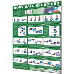 24" X 36" Laminated Fitness Poster / Wall Chart - Body Ball Exercises – Productive Fitness (CBBL)