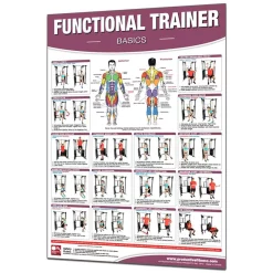 24" X 36" Laminated Fitness Poster / Wall Chart - Functional Trainer Exercises – Productive Fitness (CFTL)